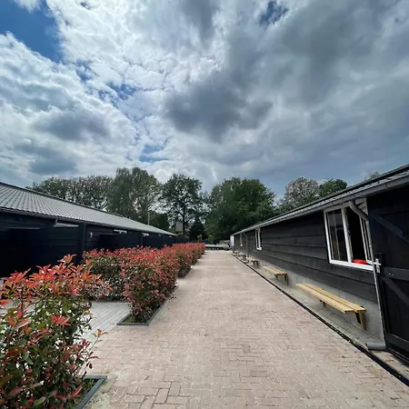 4 Persoons Compleet Ingericht Bladel